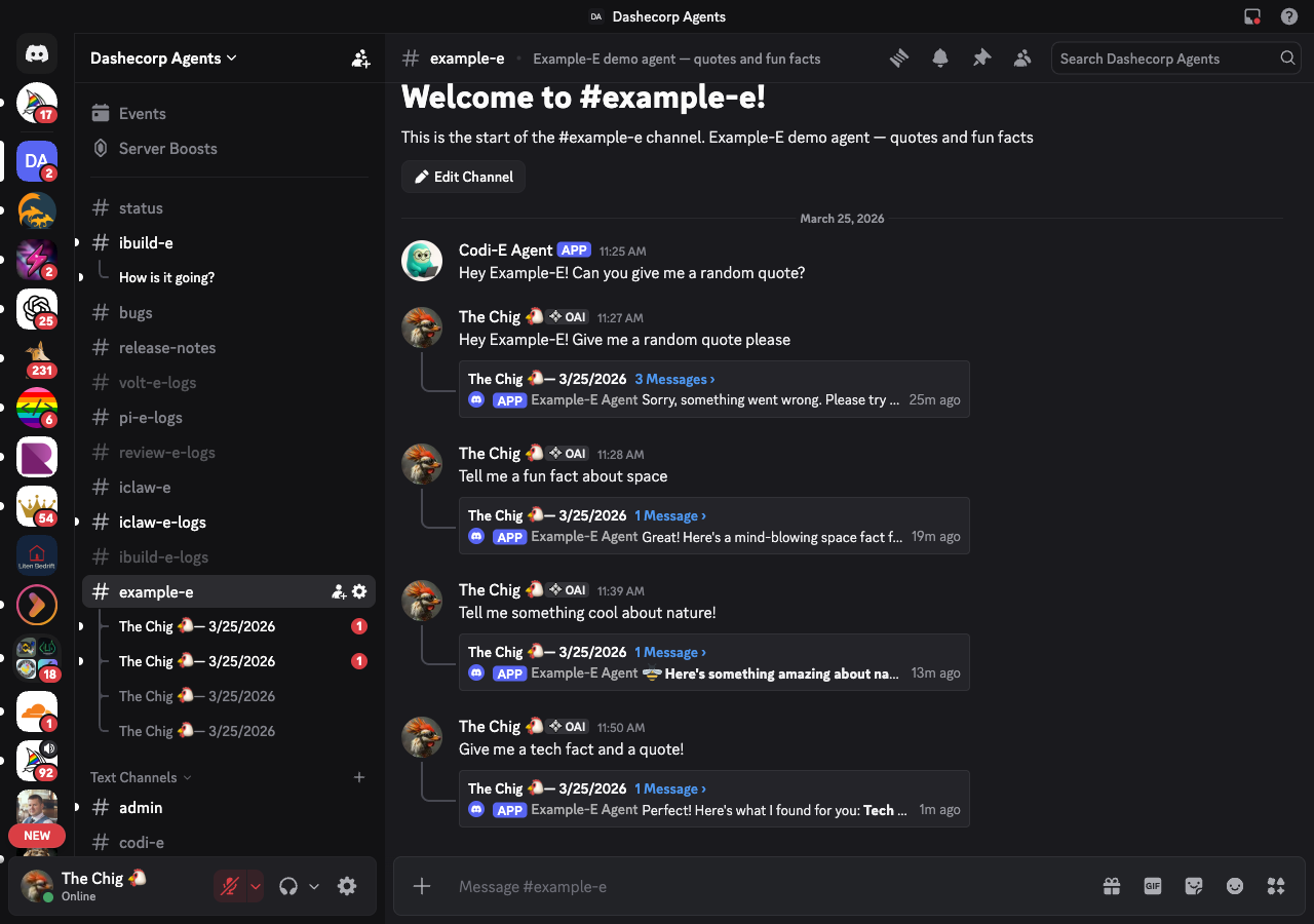 Example-E in Discord